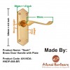 "Noah" Brass Door Handle with Plate 